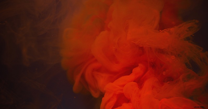 Expert Review: Venus Optics Laowa 24mm Probe Lens – Stunning Macros Worth $1,500?