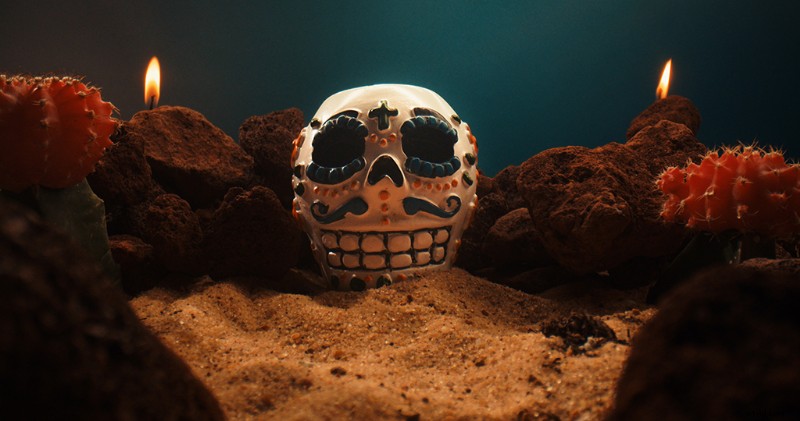 Expert Review: Venus Optics Laowa 24mm Probe Lens – Stunning Macros Worth $1,500?