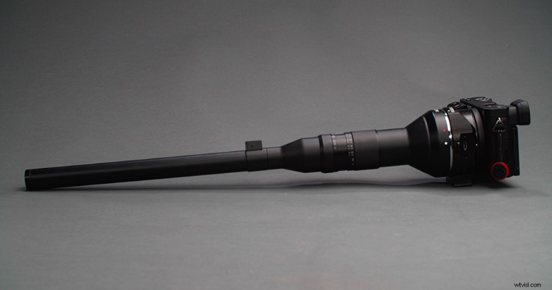 Expert Review: Venus Optics Laowa 24mm Probe Lens – Stunning Macros Worth $1,500?