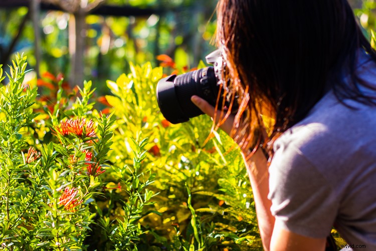 Essential Tools Every Beginner Needs to Start Shooting Pro Stock Footage