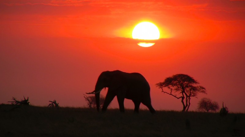 10 Expert Tips for Capturing Stunning Stock Travel Footage That Sparks Wanderlust