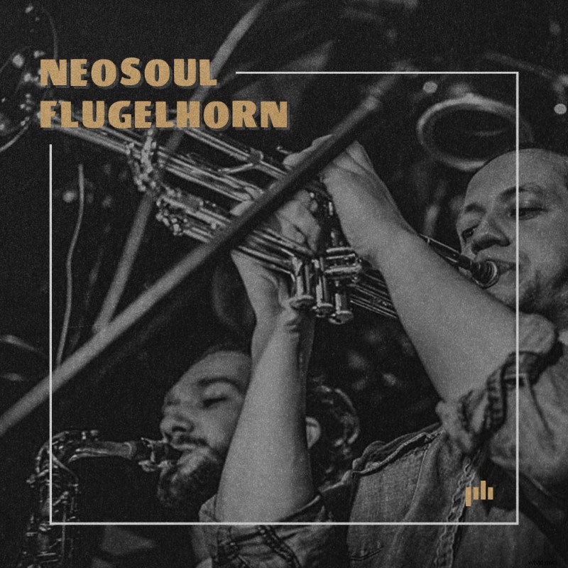 Download Free Royalty-Free Music Samples: 100% Copyright-Cleared Guitar, Piano, Vocals & More