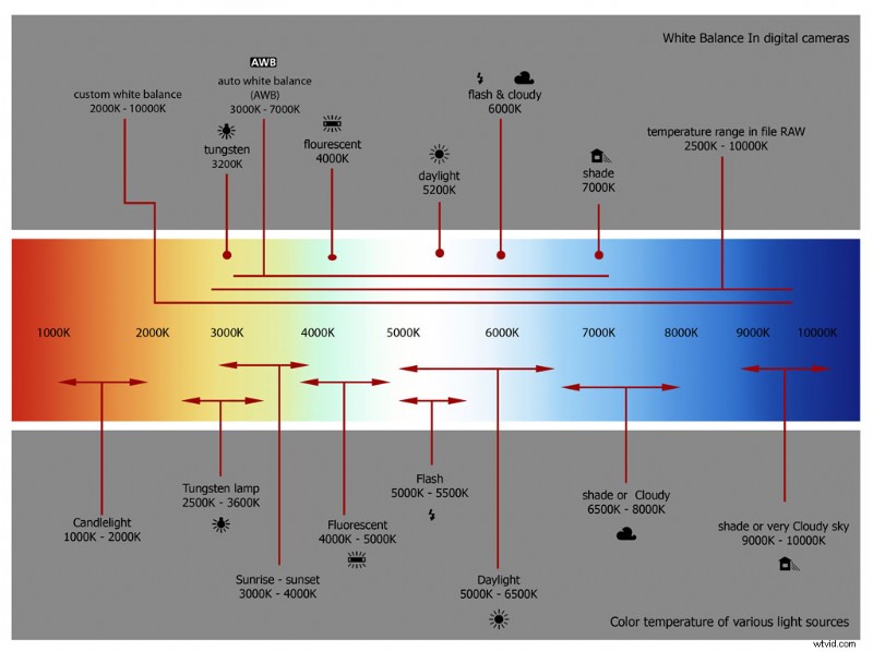 Master Color Temperature and Three-Point Lighting: Essential Basics for Stunning Footage