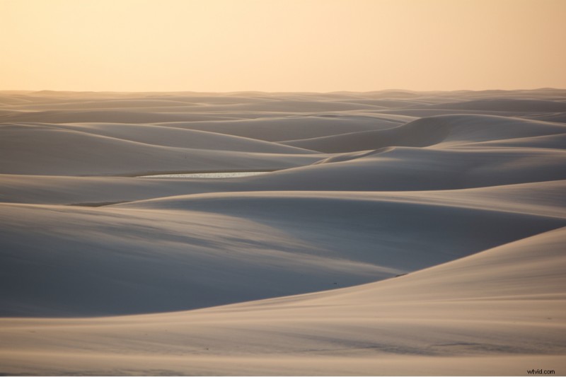 Protecting Brazil s Wilds: Vitor Marigo s Conservation Photography | Shutterstock Artist Series