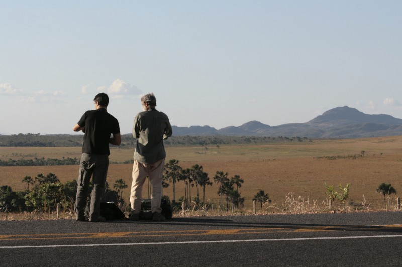 Protecting Brazil s Wilds: Vitor Marigo s Conservation Photography | Shutterstock Artist Series