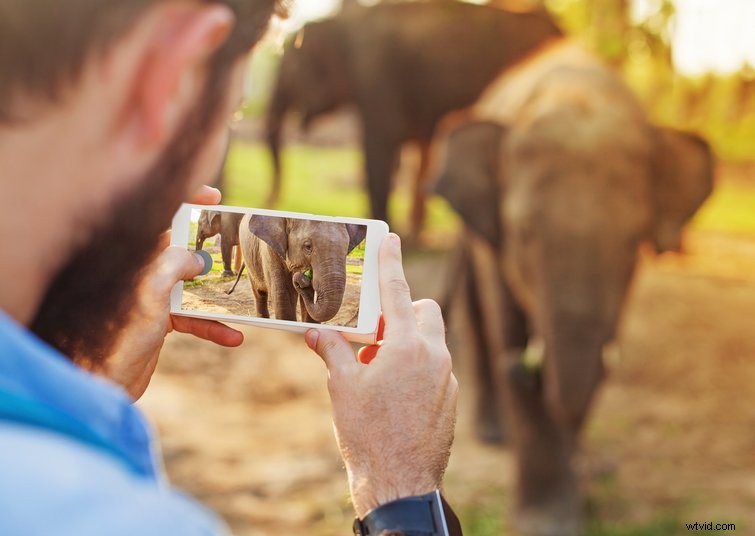 iPhone 11 Pro Filmmaking Test: How It Compares to a Digital Cinema Camera