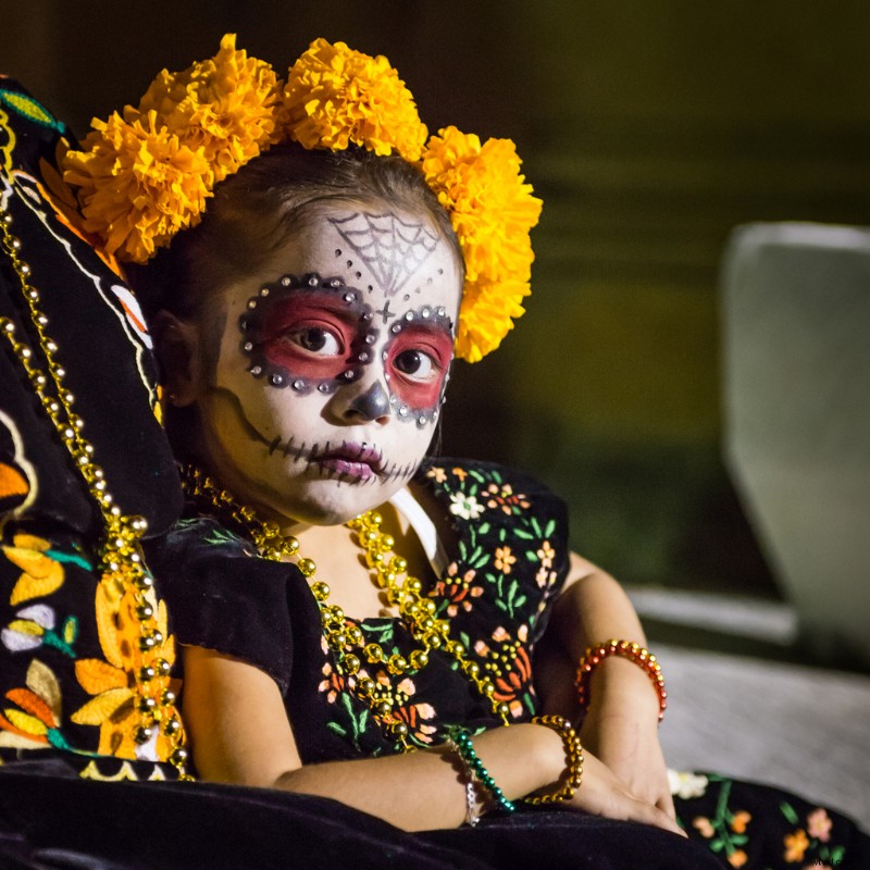 Celebrate Día de los Muertos: Illustrator Nahiely Velazquez Honors Mexican Culture in Shutterstock s Artist Series