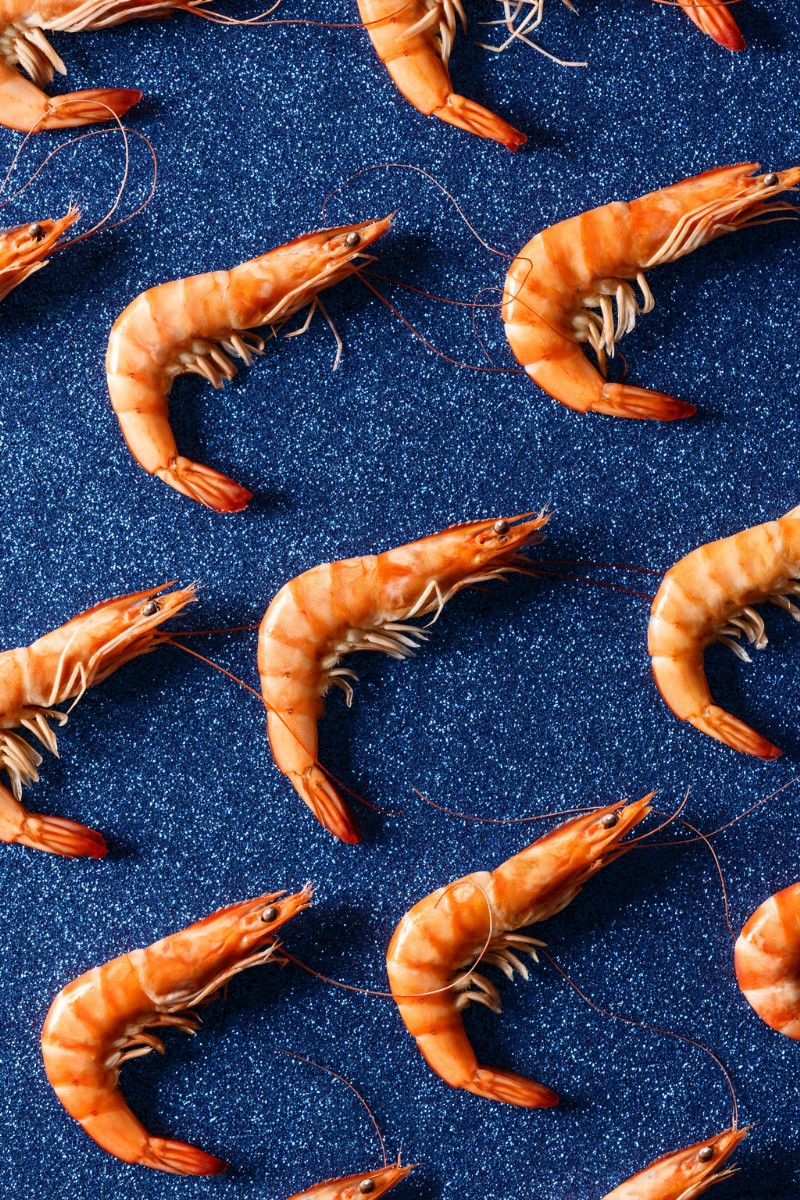 December s Freshest Shutterstock Picks: Stunning New Images We Love