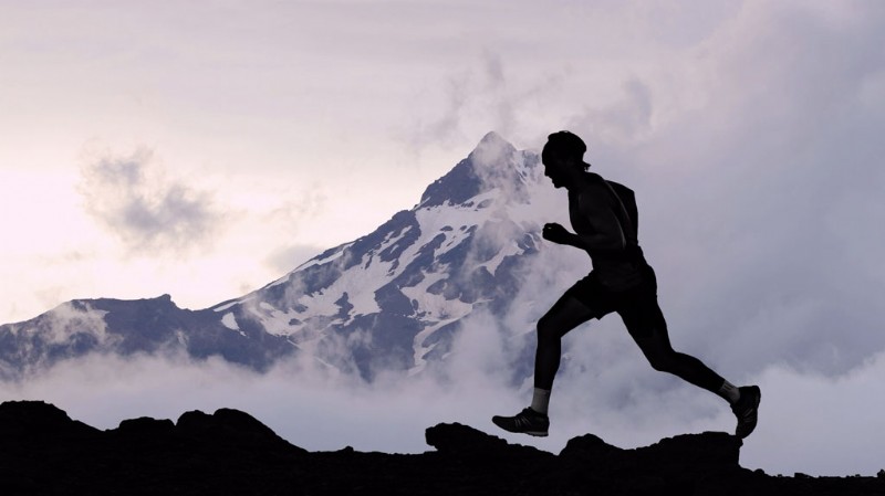 December s Freshest Shutterstock Picks: Stunning New Images We Love