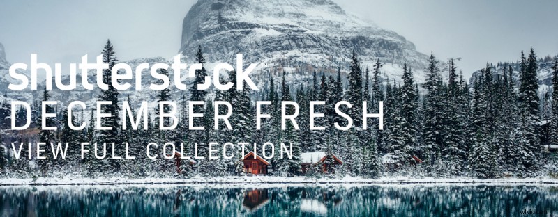December s Freshest Shutterstock Picks: Stunning New Images We Love