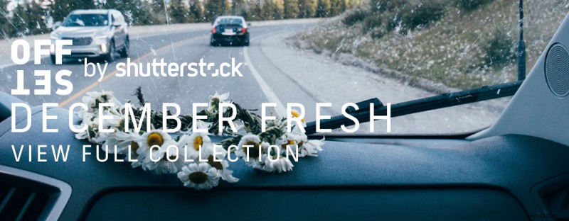 December s Freshest Shutterstock Picks: Stunning New Images We Love