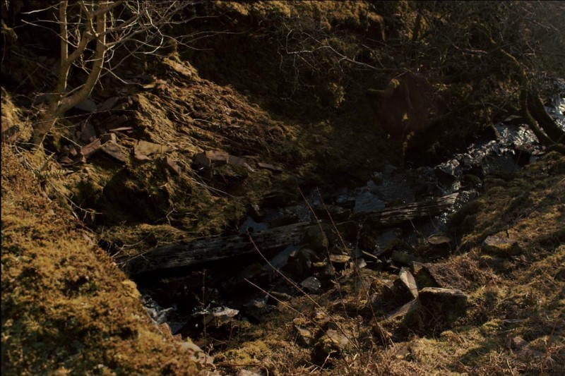 Camera Slider for Outdoor Shoots: Is It Worth the Investment? Pro Tips Inside