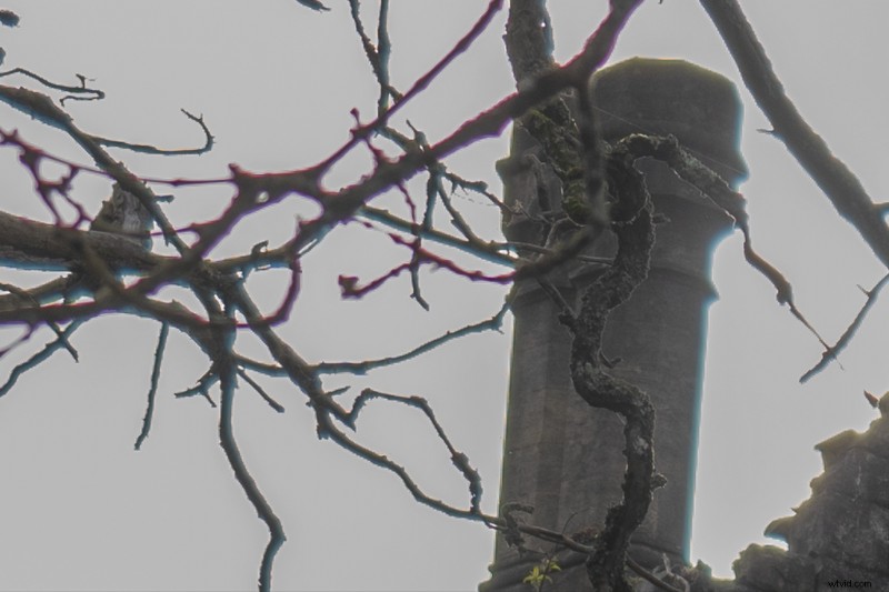 Graduated ND Filters: Essential or Obsolete in the Era of Powerful Cameras?