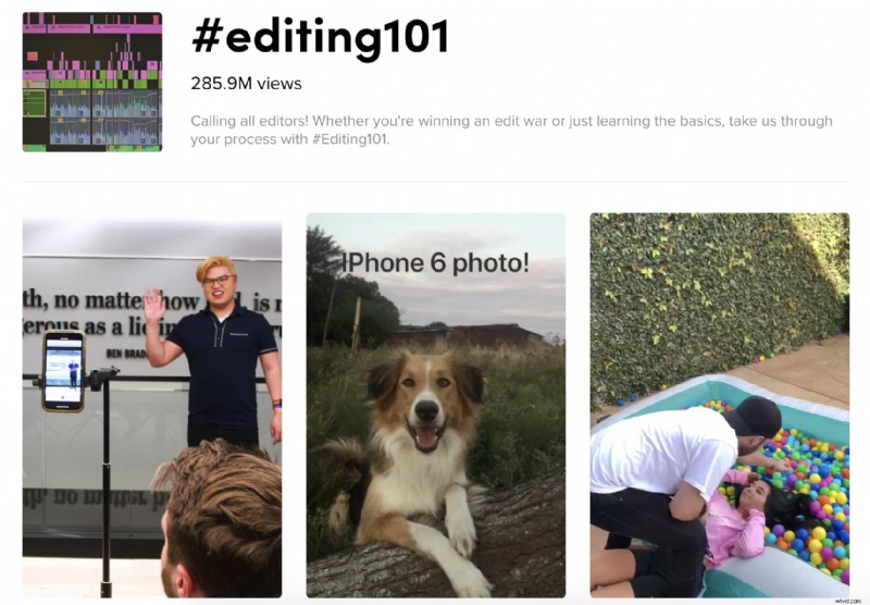 Master TikTok for Photographers: Proven Tips to Grow Your Audience Fast