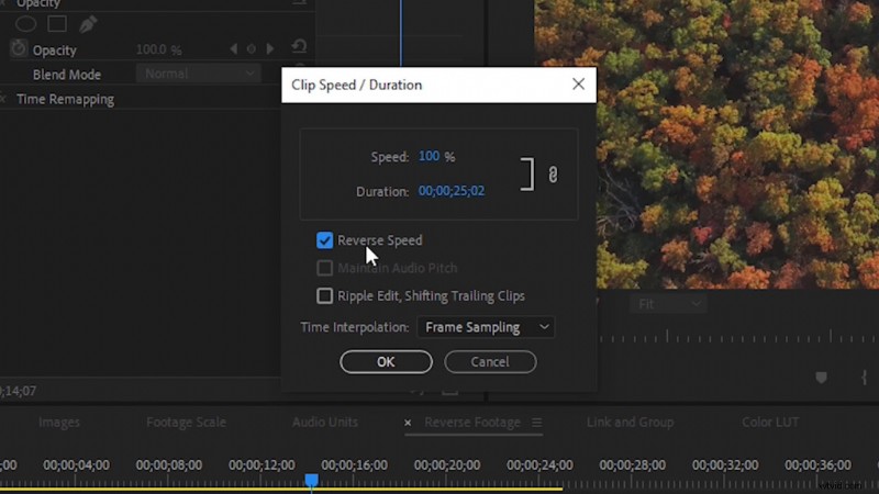 Master Premiere Pro: 10 Essential Workflow Tips for Efficient Video Editing