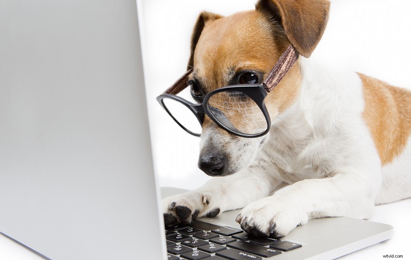 10 Essential Tips to Prepare Your Livestream Tonight for Success