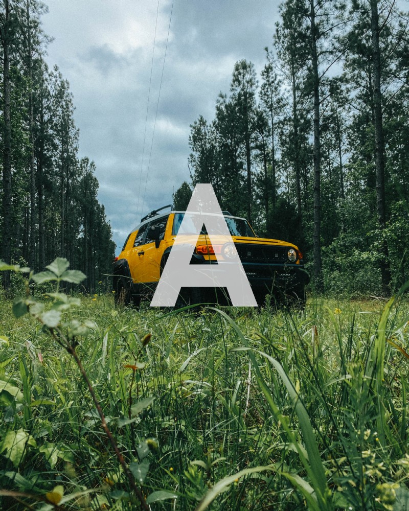 iPhone vs. Mirrorless Cameras: Can Your Smartphone Capture Professional Photos?