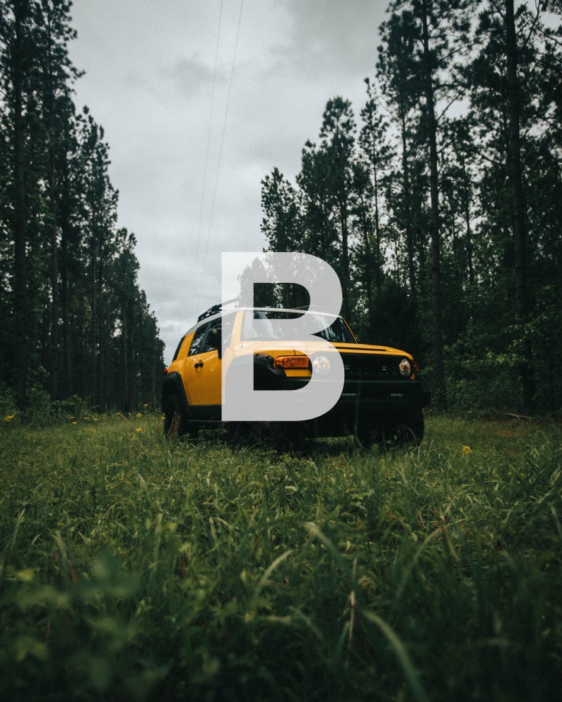 iPhone vs. Mirrorless Cameras: Can Your Smartphone Capture Professional Photos?