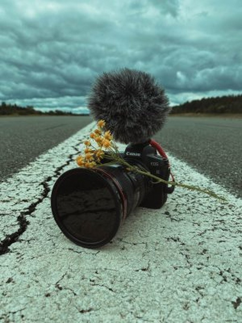 iPhone vs. Mirrorless Cameras: Can Your Smartphone Capture Professional Photos?