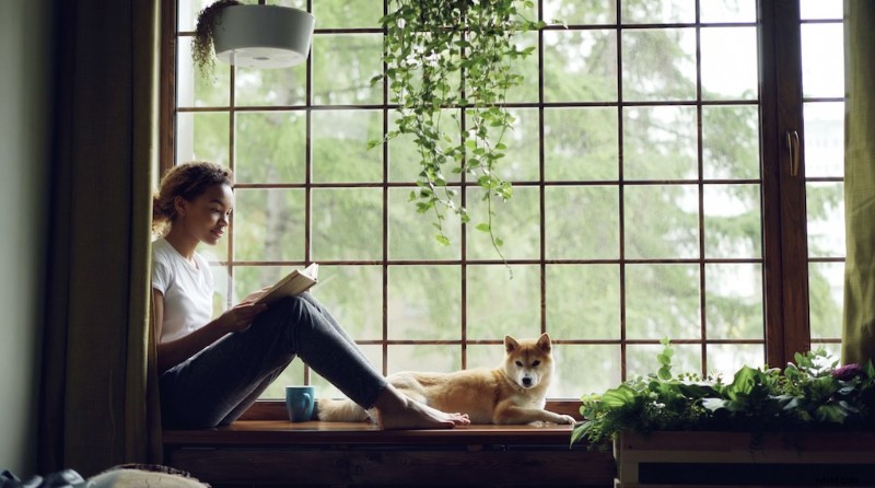 How Quarantine Transformed Stock Footage: Beloved Everyday Home Life Videos