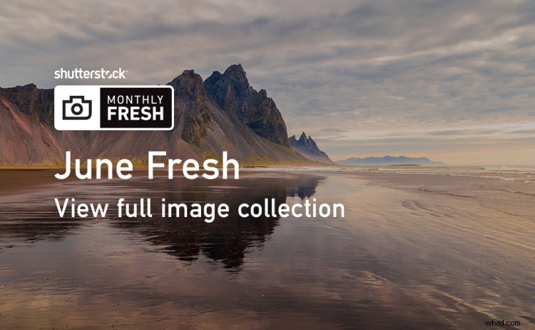 June s Freshest Shutterstock Picks: Top New Inspirational Images