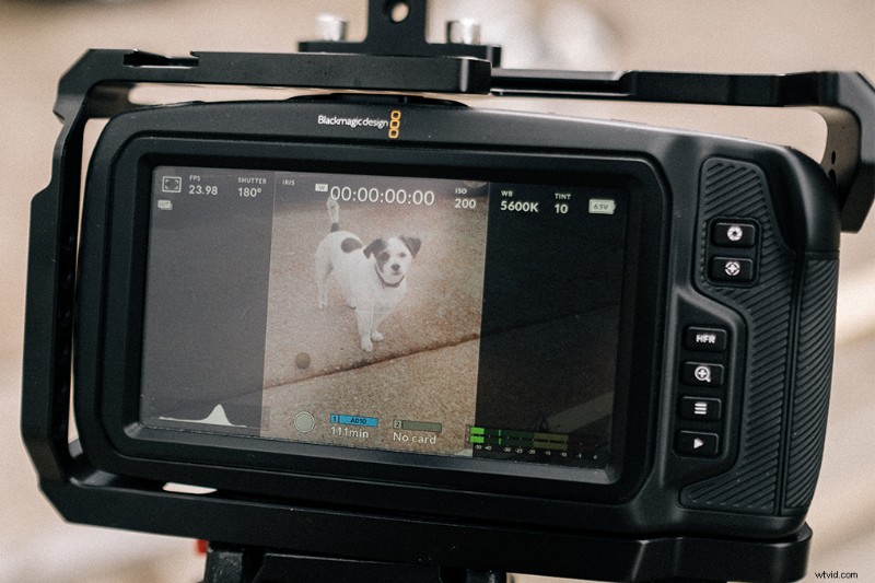 Master Vertical Video Creation: Origins, Tips & Shareable Social Media Content