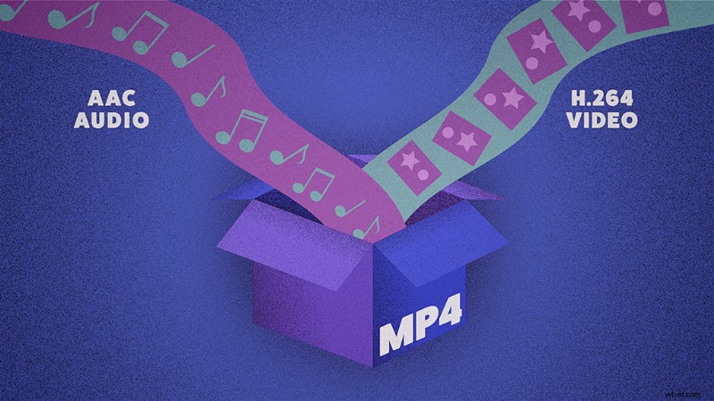 Essential Guide to Video File Types and Codecs for Social Media Success