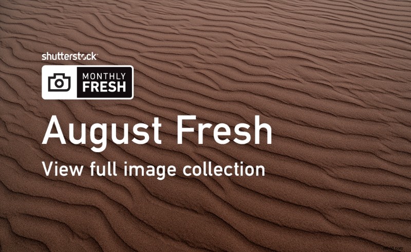 Discover August s Freshest Shutterstock Images: Top Curated Picks