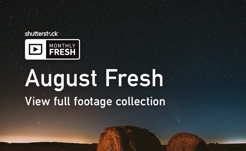 Discover August s Freshest Shutterstock Images: Top Curated Picks
