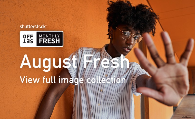 Discover August s Freshest Shutterstock Images: Top Curated Picks