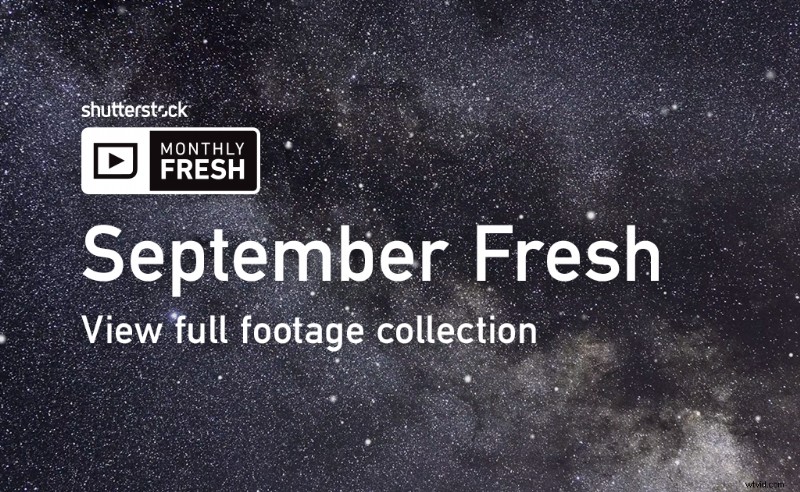 September s Freshest Shutterstock Picks: Top New Inspirational Images