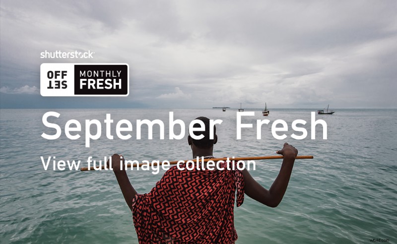 September s Freshest Shutterstock Picks: Top New Inspirational Images