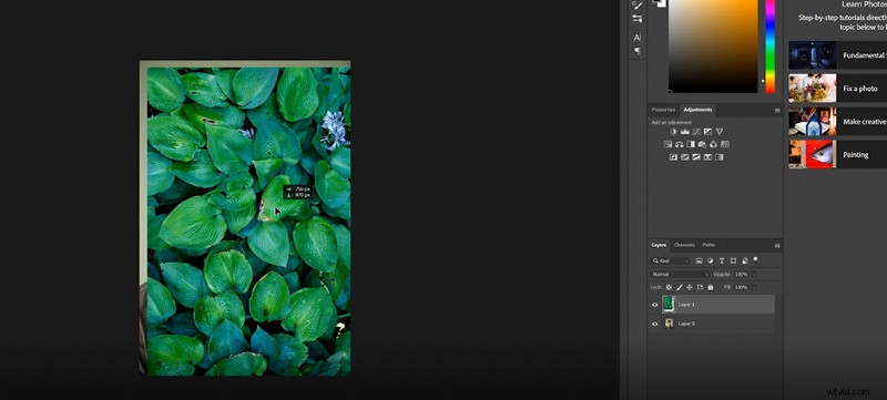 10 Expert Tips for Professional-Quality Selfies at Home – No Studio Needed