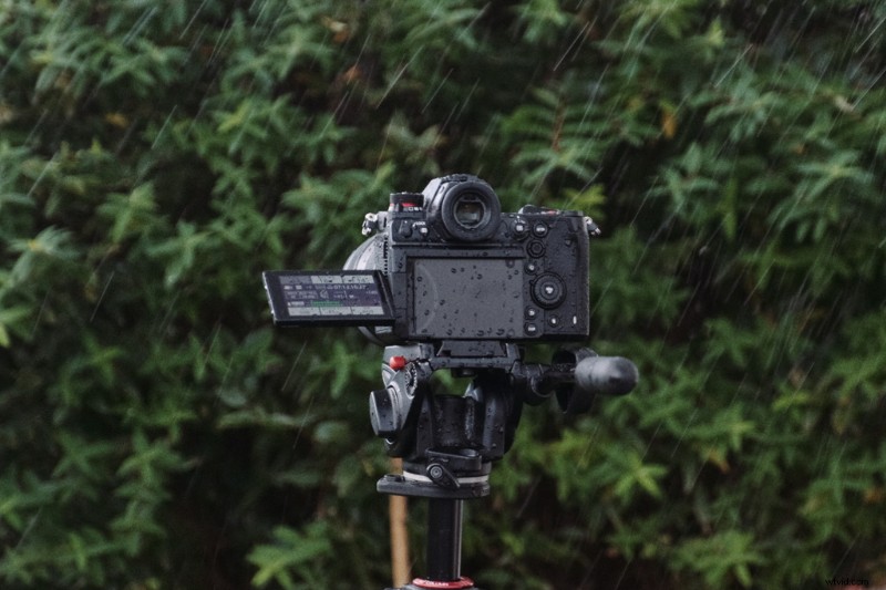 Pro Tips for Capturing Stunning Rain Scenes on a Low Budget