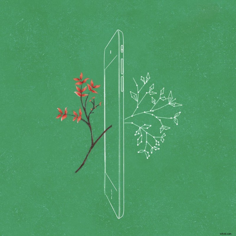 November s Freshest Shutterstock Picks: Top New Inspirational Images