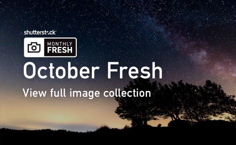 October s Freshest Shutterstock Picks: Top New Inspirational Images
