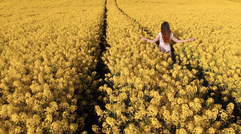 October s Freshest Shutterstock Picks: Top New Inspirational Images