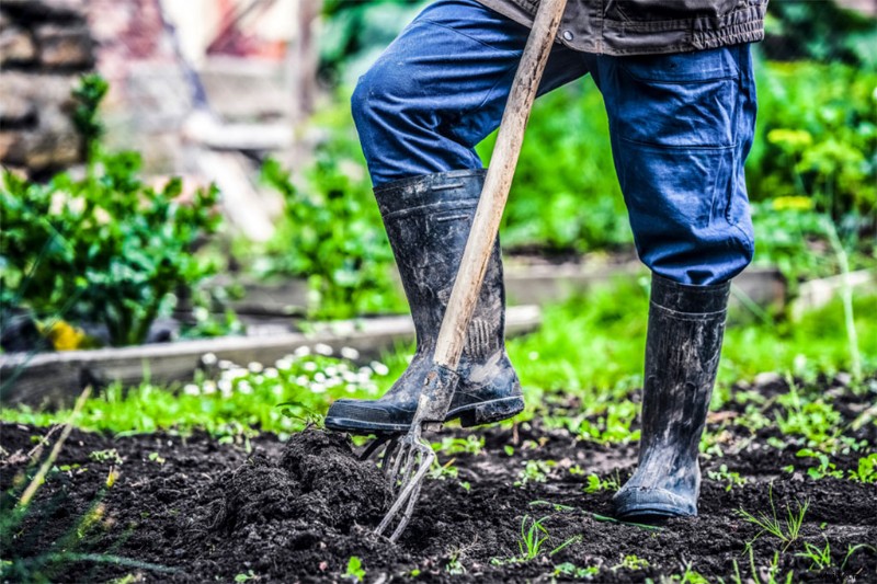 15 Free Garden & Backyard Sound Effects Pack – Authentic SFX for Outdoor Videos