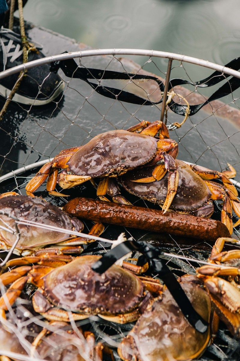 Pro Travel Photographer s Essential Camera Gear: Jordan Dyck Reveals Her Go-To Kit