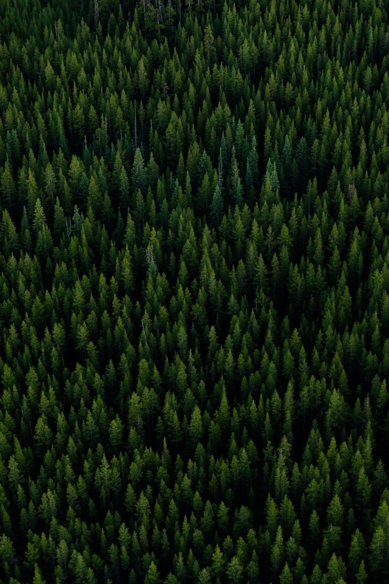 Pro Travel Photographer s Essential Camera Gear: Jordan Dyck Reveals Her Go-To Kit