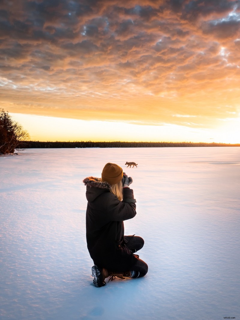 Best Pocket-Sized Cameras for Professional Photographers: Top 2021 Picks
