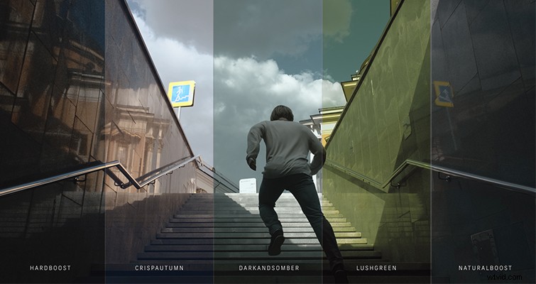 Download 13 Free Professional Custom LUTs for Stunning Log Footage