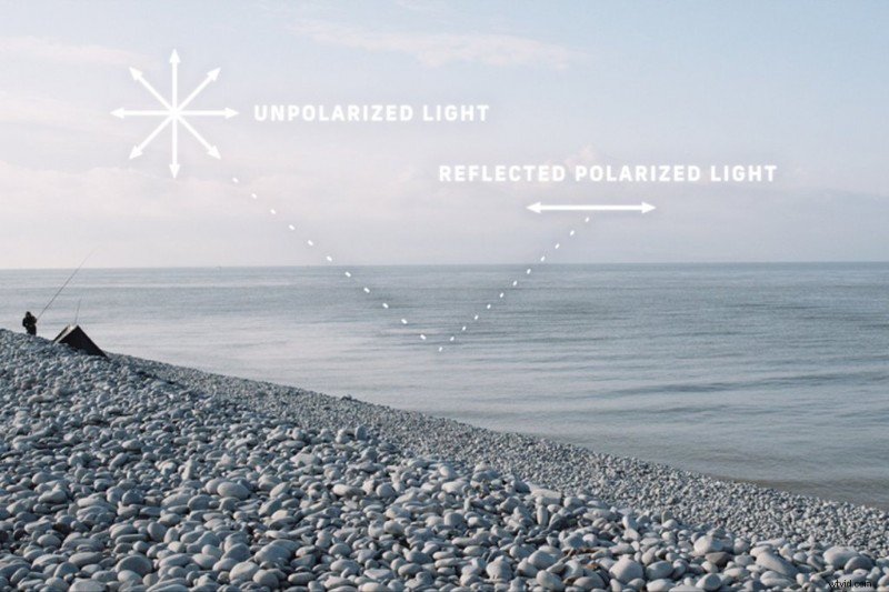 Circular Polarizers Explained: Reduce Glare and Reflections for Stunning Footage