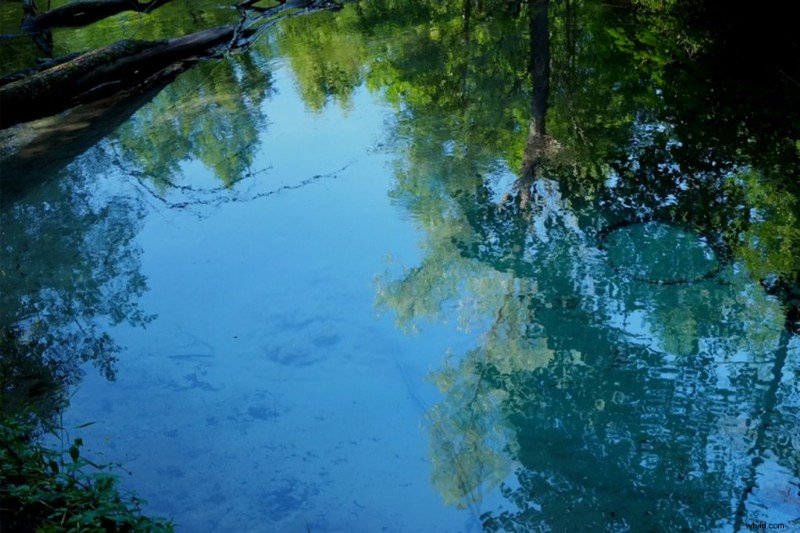 Circular Polarizers Explained: Reduce Glare and Reflections for Stunning Footage