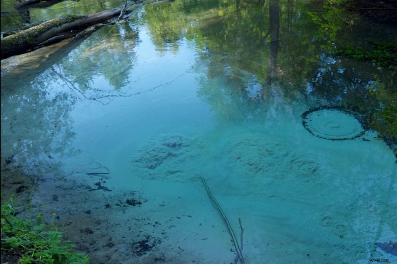 Circular Polarizers Explained: Reduce Glare and Reflections for Stunning Footage