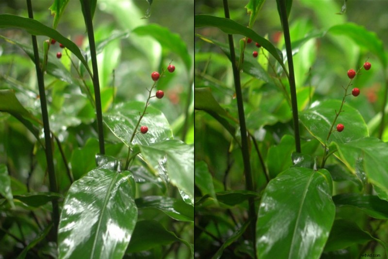 Circular Polarizers Explained: Reduce Glare and Reflections for Stunning Footage