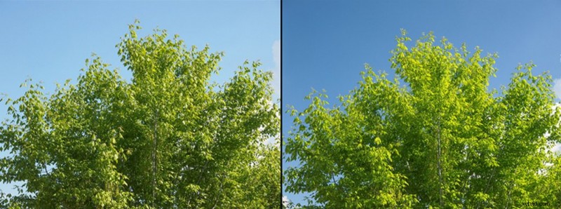 Circular Polarizers Explained: Reduce Glare and Reflections for Stunning Footage