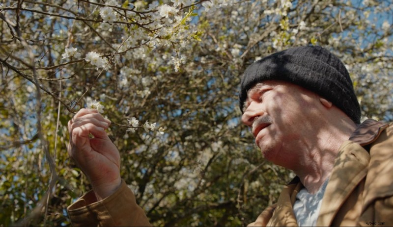 Budget-Friendly Tips to Thrive in Bright Midday Sunlight Without Schedule Changes