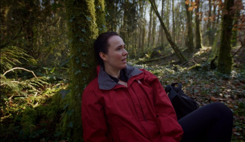 Budget-Friendly Tips to Thrive in Bright Midday Sunlight Without Schedule Changes