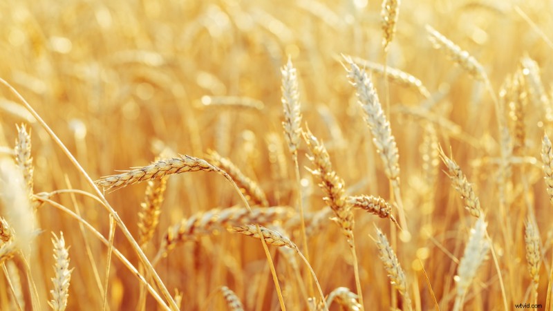 10 Innovative Techniques to Maximize Coverage from a Single Location for Stock Footage & Client Videos